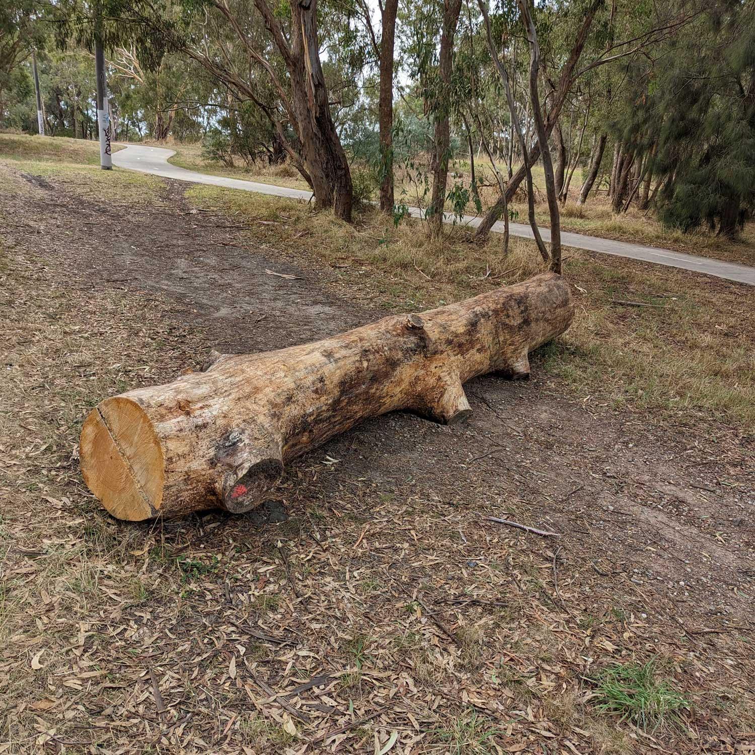 Landscape Logs