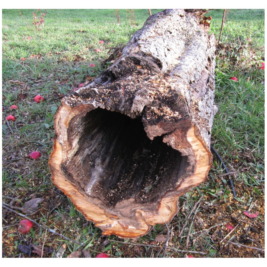Habitat Logs